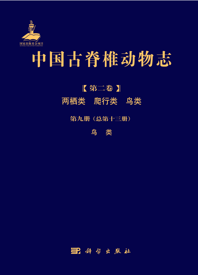 大港澳安卓下载安装